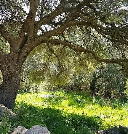 Liscia Country Relais Sant'Antonio di Gallura